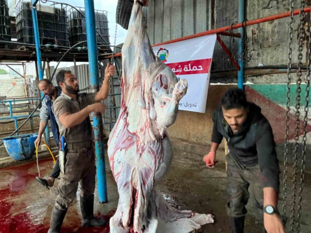 Qurbani Project - Irshed Organization